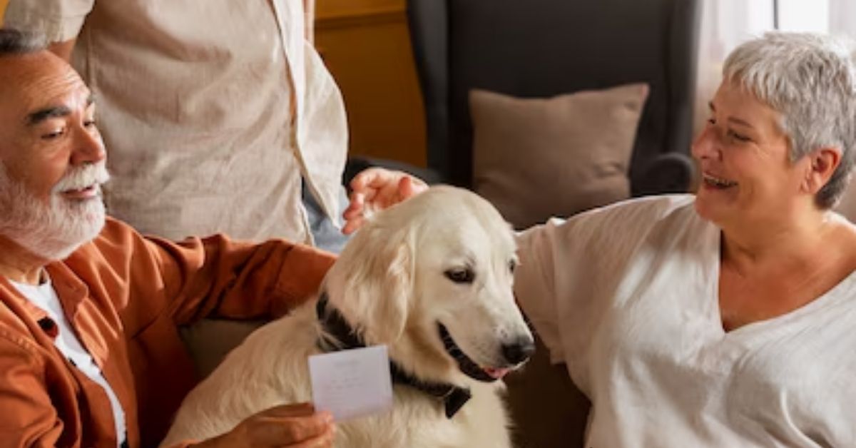 PetFriendly Home Care Services Renaissance Home Care